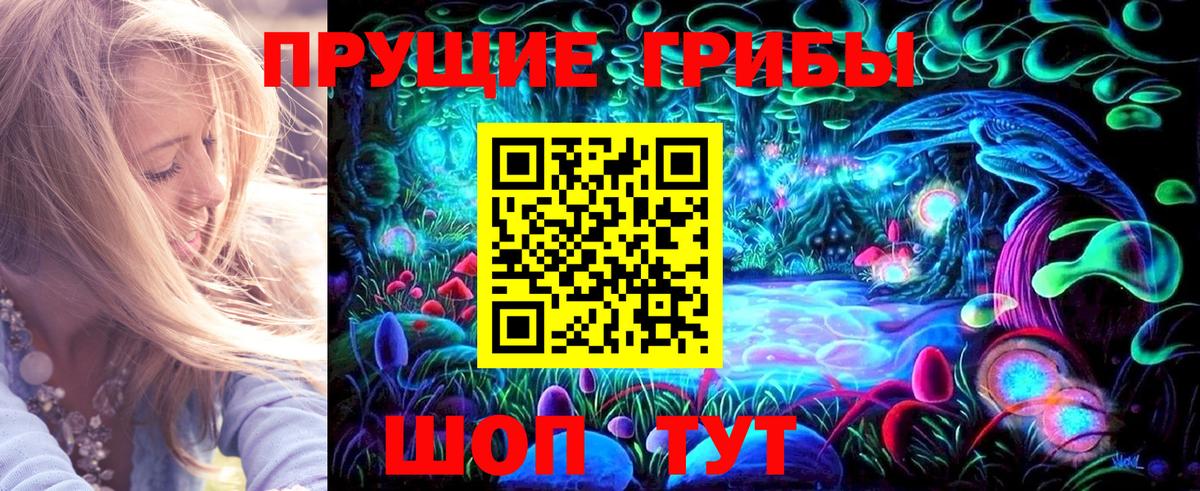 Псилоцибиновые грибы Psilocybe  Галлюциногенные грибы прущие грибы  Добрянка  Вход с VPN 