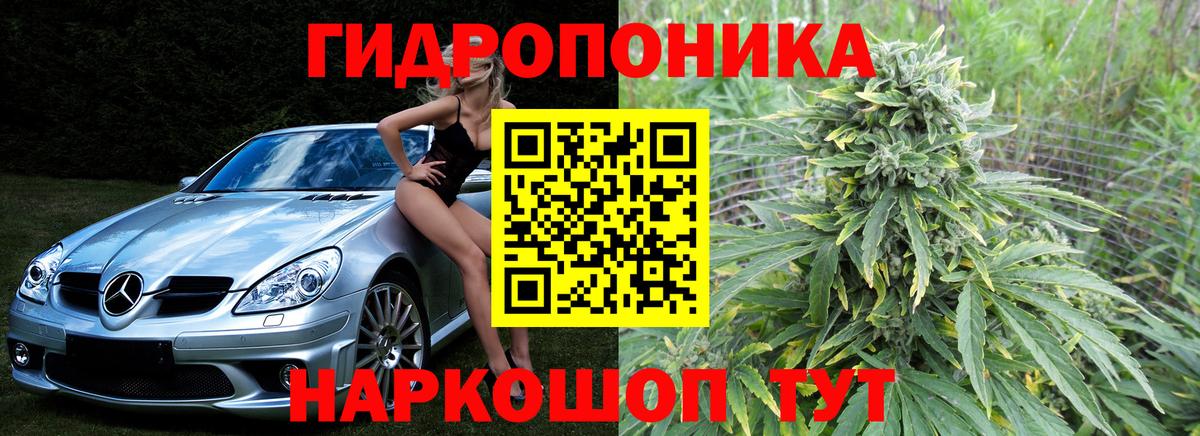 Бошки марихуана SATIVA & INDICA  Вход с VPN  Добрянка  Конопля Amnesia  Марихуана марихуана 